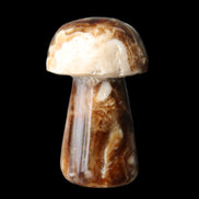 Chocolate Calcite mushroom 32-35mm 11-17g in sunlight - Rocks and Things Store