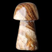 Chocolate Calcite mushroom 32-35mm 11-17g in sunlight - Rocks and Things Store