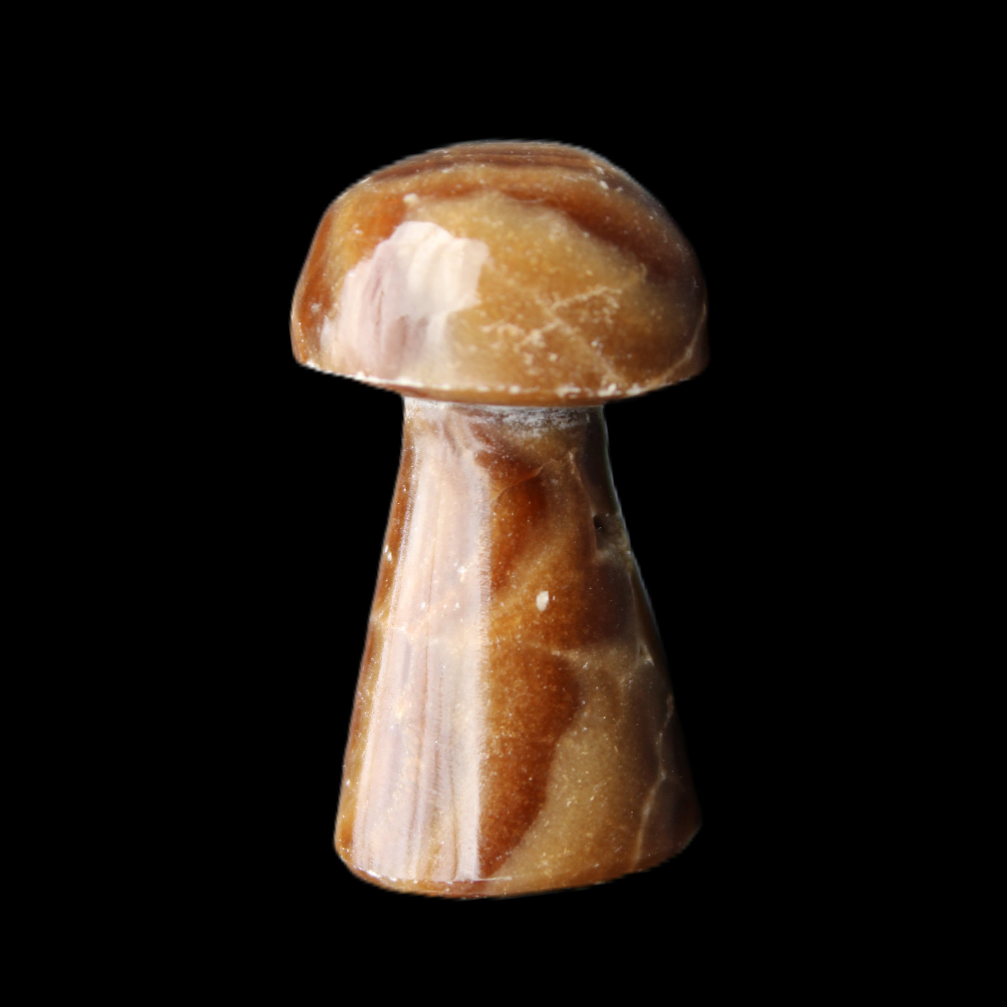 Chocolate Calcite mushroom 32-35mm 11-17g in sunlight - Rocks and Things Store