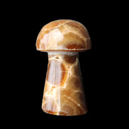 Chocolate Calcite mushroom 32-35mm 11-17g in sunlight - Rocks and Things Store