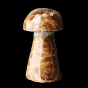 Chocolate Calcite mushroom 32-35mm 11-17g in sunlight - Rocks and Things Store