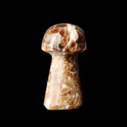 Chocolate Calcite mushroom 32-35mm 11-17g in sunlight - Rocks and Things Store