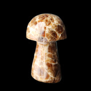 Chocolate Calcite mushroom 32-35mm 11-17g in sunlight - Rocks and Things Store