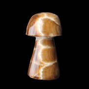 Chocolate Calcite mushroom 32-35mm 11-17g in sunlight - Rocks and Things Store