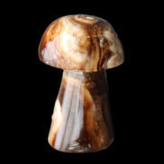 Chocolate Calcite mushroom 32-35mm 11-17g in sunlight - Rocks and Things Store