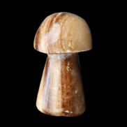 Chocolate Calcite mushroom 32-35mm 11-17g in sunlight - Rocks and Things Store