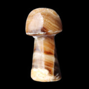 Chocolate Calcite mushroom 32-35mm 11-17g in sunlight - Rocks and Things Store