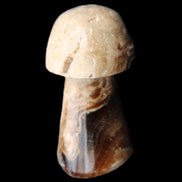 Chocolate Calcite mushroom 32-35mm 11-17g in sunlight - Rocks and Things Store