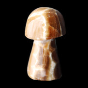 Chocolate Calcite mushroom 32-35mm 11-17g in sunlight - Rocks and Things Store