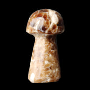 Chocolate Calcite mushroom 32-35mm 11-17g in sunlight - Rocks and Things Store