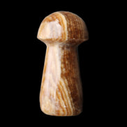 Chocolate Calcite mushroom 32-35mm 11-17g in sunlight - Rocks and Things Store