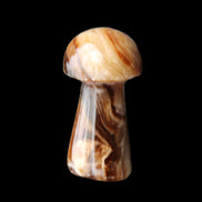 Chocolate Calcite mushroom 32-35mm 11-17g in sunlight - Rocks and Things Store