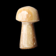 Chocolate Calcite mushroom 32-35mm 11-17g in sunlight - Rocks and Things Store