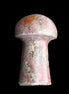 Brown Red Jasper Marble mushroom 32-35mm 14-17g in sunlight - Rocks and Things Store