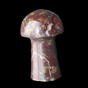 Brown Red Jasper Marble mushroom 32-35mm 14-17g in sunlight - Rocks and Things Store