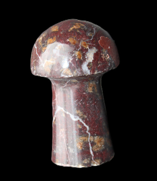 Brown Red Jasper Marble mushroom 32-35mm 14-17g in sunlight - Rocks and Things Store