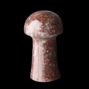 Brown Red Jasper Marble mushroom 32-35mm 14-17g in sunlight - Rocks and Things Store