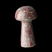 Brown Red Jasper Marble mushroom 32-35mm 14-17g in sunlight - Rocks and Things Store