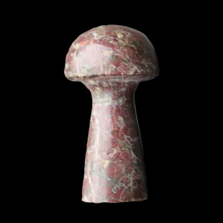 Brown Red Jasper Marble mushroom 32-35mm 14-17g in sunlight - Rocks and Things Store
