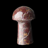 Brown Red Jasper Marble mushroom 32-35mm 14-17g in sunlight - Rocks and Things Store