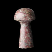 Brown Red Jasper Marble mushroom 32-35mm 14-17g in sunlight - Rocks and Things Store