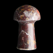 Brown Red Jasper Marble mushroom 32-35mm 14-17g in sunlight - Rocks and Things Store