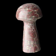 Brown Red Jasper Marble mushroom 32-35mm 14-17g in sunlight - Rocks and Things Store