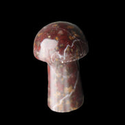 Brown Red Jasper Marble mushroom 32-35mm 14-17g in sunlight - Rocks and Things Store