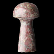 Brown Red Jasper Marble mushroom 32-35mm 14-17g in sunlight - Rocks and Things Store