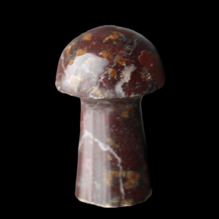 Brown Red Jasper Marble mushroom 32-35mm 14-17g in sunlight - Rocks and Things Store