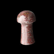 Brown Red Jasper Marble mushroom 32-35mm 14-17g in sunlight - Rocks and Things Store