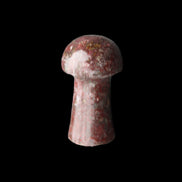 Brown Red Jasper Marble mushroom 32-35mm 14-17g in sunlight - Rocks and Things Store