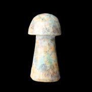 Amazonite mushroom 29-33mm 11-17g in sunlight - Rocks and Things Store