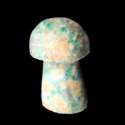 Amazonite mushroom 29-33mm 11-17g in sunlight - Rocks and Things Store