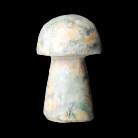 Amazonite mushroom 29-33mm 11-17g in sunlight - Rocks and Things Store