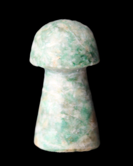 Amazonite mushroom 29-33mm 11-17g in sunlight - Rocks and Things Store