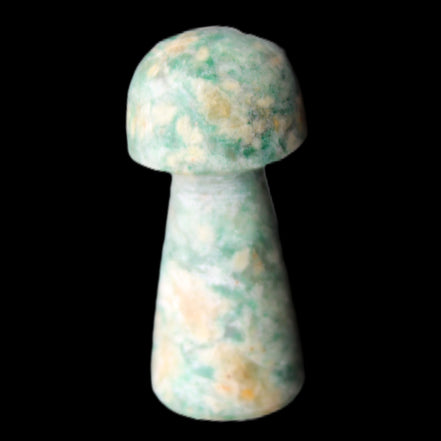 Amazonite mushroom 29-33mm 11-17g in sunlight - Rocks and Things Store