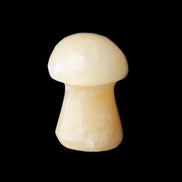 Yellow Calcite mushroom 26-30mm 8-12g in sunlight - Rocks and Things Store