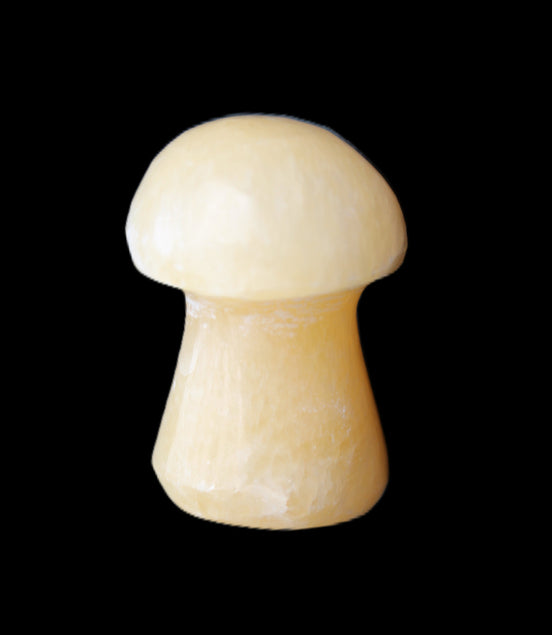 Yellow Calcite mushroom 26-30mm 8-12g in sunlight - Rocks and Things Store