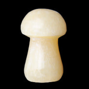 Yellow Calcite mushroom 26-30mm 8-12g in sunlight - Rocks and Things Store
