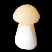 Yellow Calcite mushroom 26-30mm 8-12g in sunlight - Rocks and Things Store