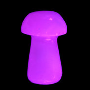 Mangano Calcite mushroom 25-32mmm 8-15g in UV light - Rocks and Things Store
