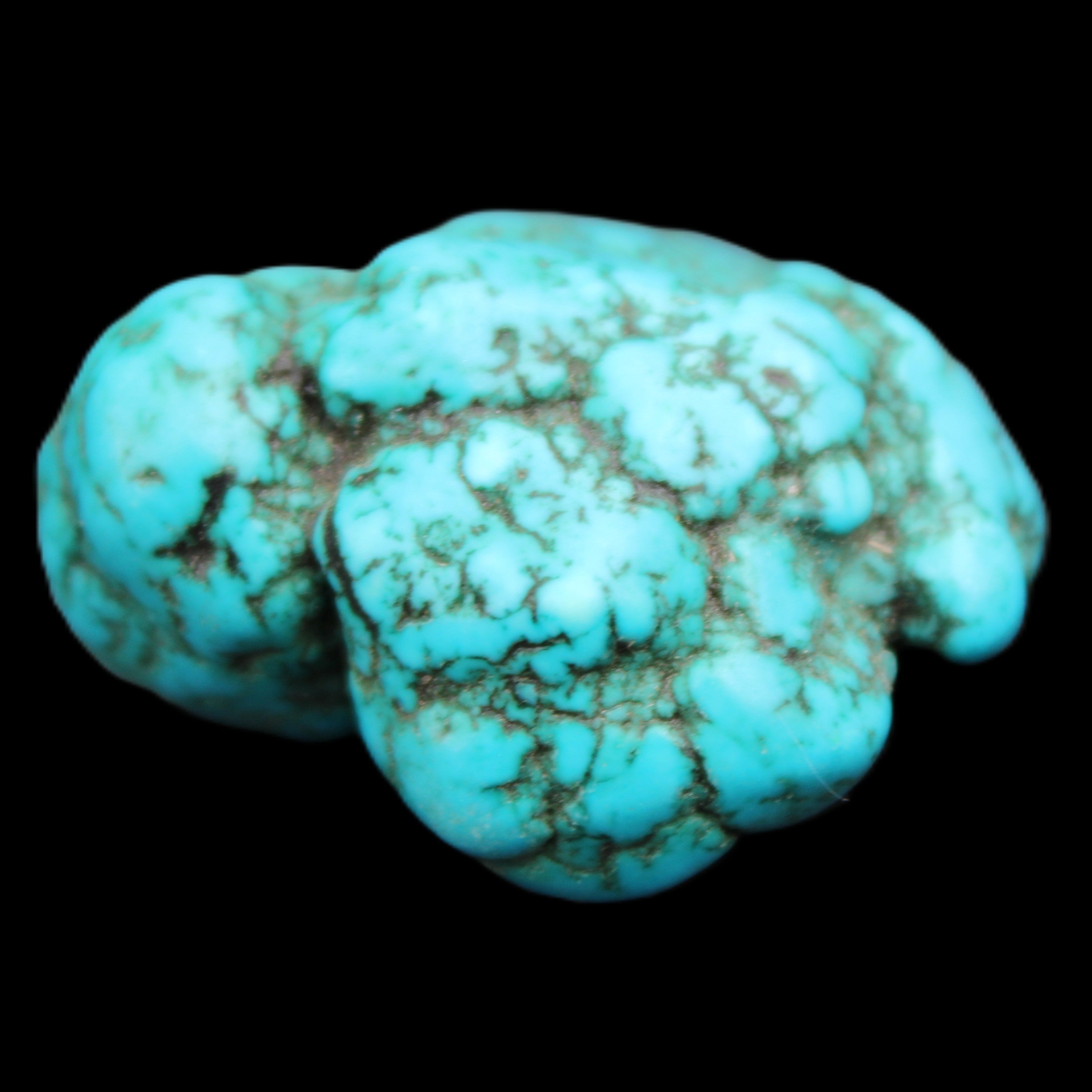 Persian Turquoise 38*19mm 26.8g in sunlight - Rocks and Things Store