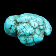 Persian Turquoise 38*19mm 26.8g in sunlight - Rocks and Things Store