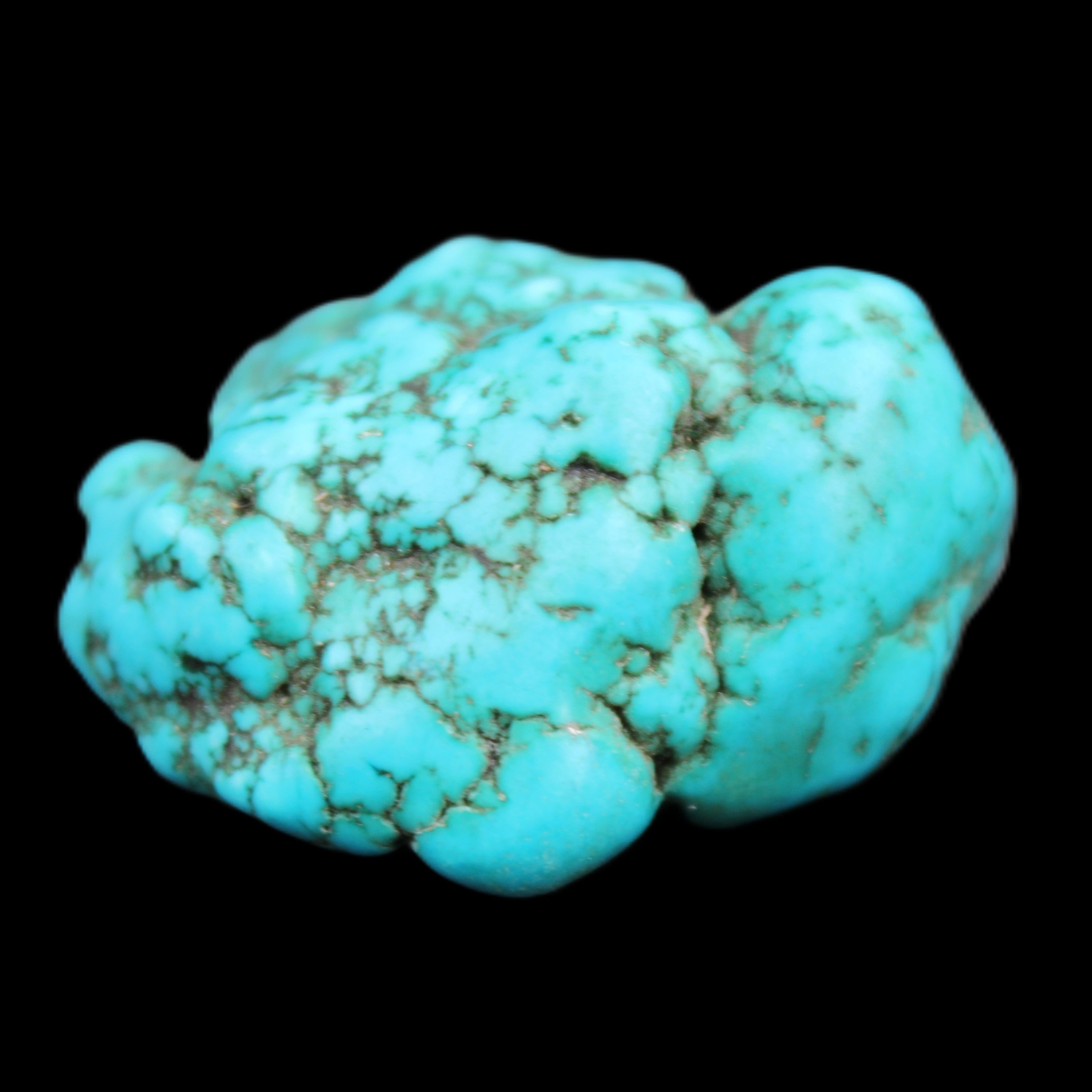 Persian Turquoise 38*19mm 26.8g in sunlight - Rocks and Things Store