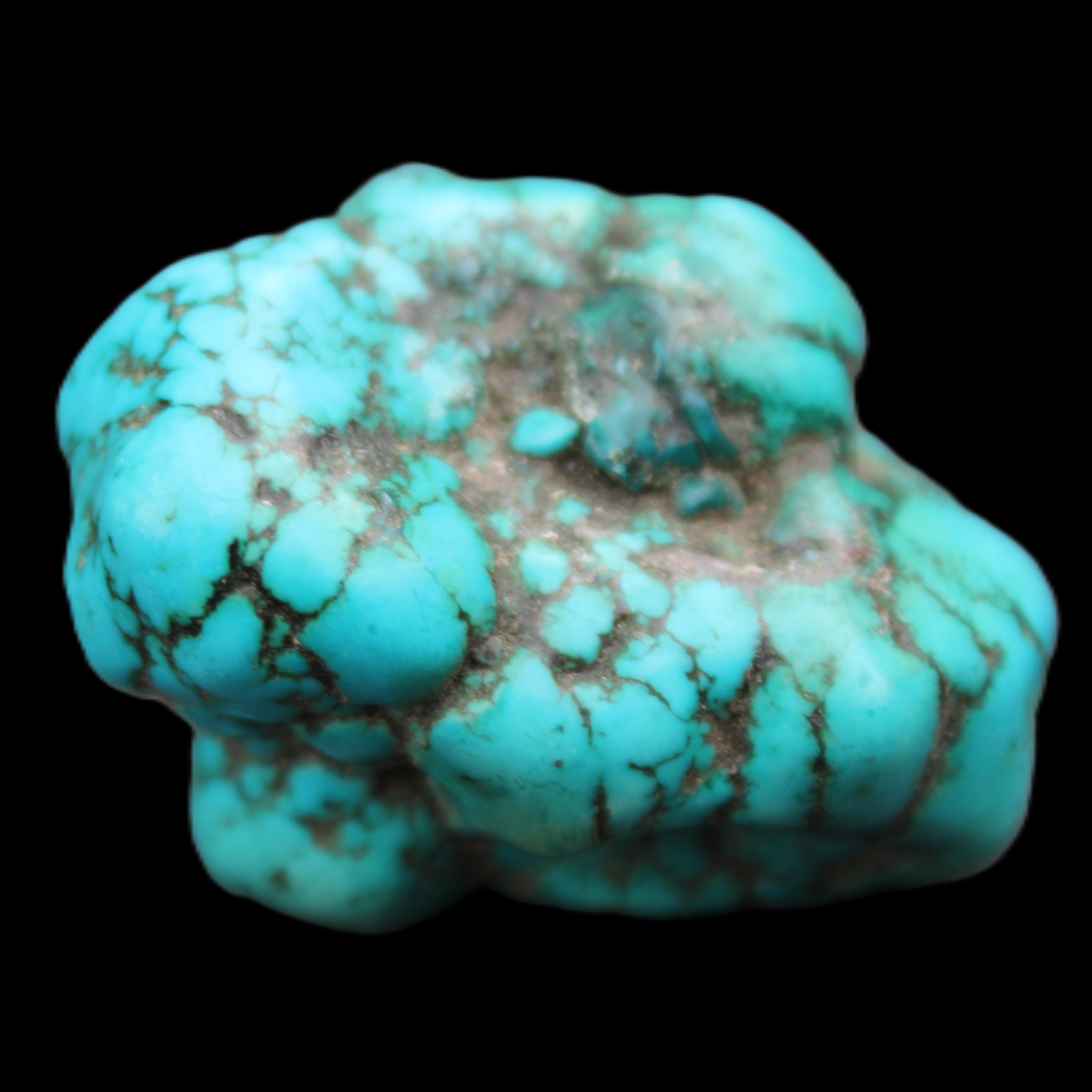 Persian Turquoise 24*37mm 35g in sunlight - Rocks and Things Store