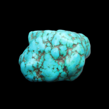 Persian Turquoise 24*37mm 35g in sunlight - Rocks and Things Store