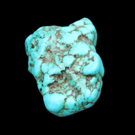 Persian Turquoise 36*25mm 27.8g in sunlight - Rocks and Things Store