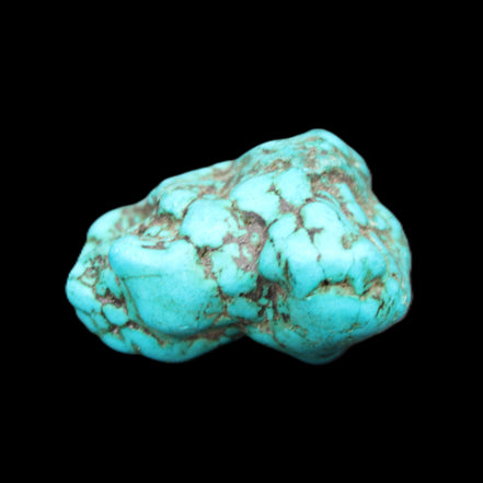Persian Turquoise 36*25mm 27.8g in sunlight - Rocks and Things Store