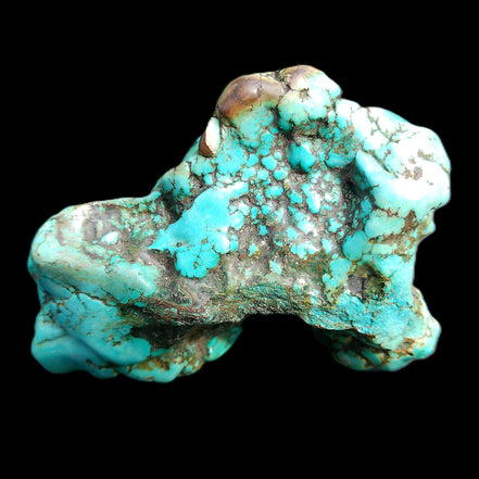 Persian Turquoise 75*55mm 134.5g in sunlight - Rocks and Things Store